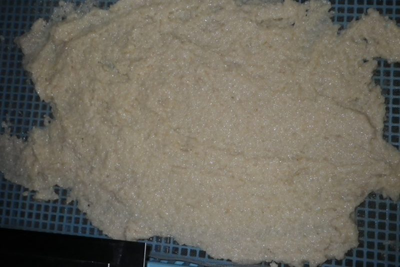 乾燥後 米麹