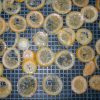 Dried Sugared Lemon