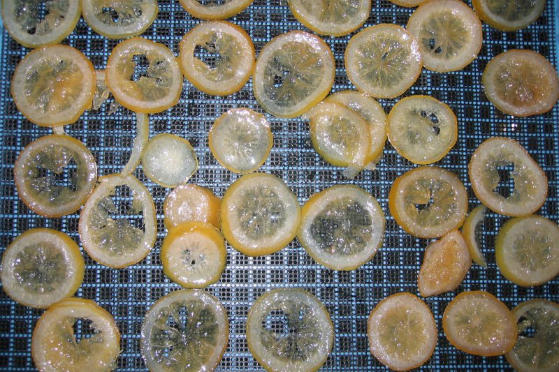 Dried Sugared Lemon