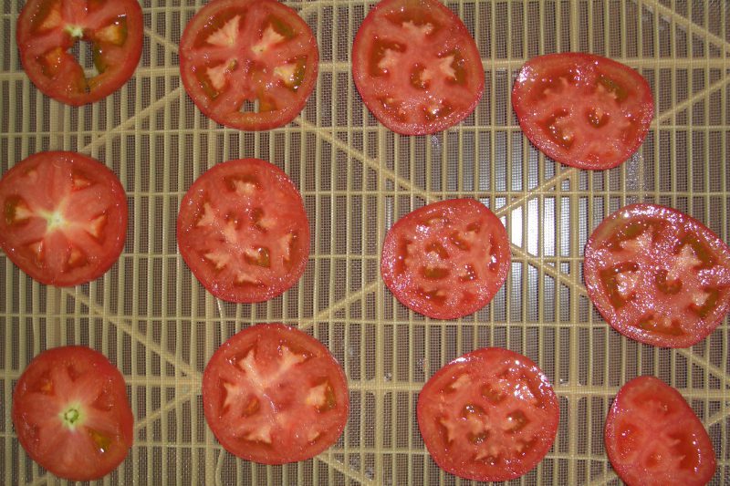乾燥中 トマト