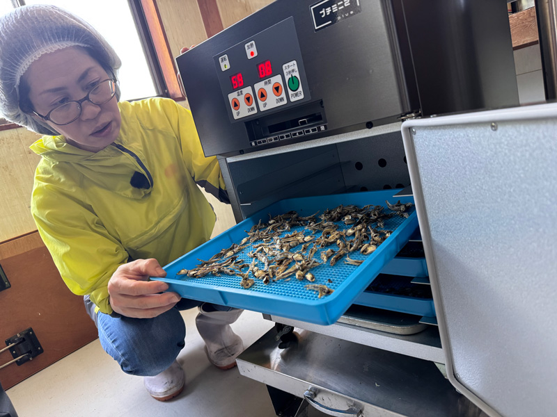 大紀産業の小型電気乾燥機「プチミニⅡ plus」の内部を見せてくれる三次ジビエ工房の片岡さん