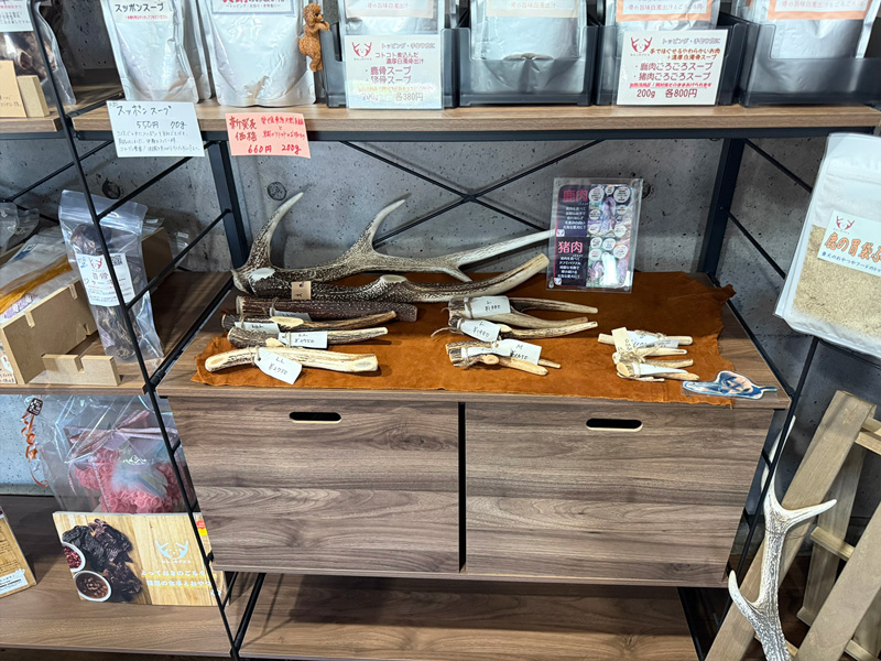 鹿の角の商品